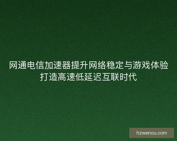 网通电信加速器提升网络稳定与游戏体验打造高速低延迟互联时代