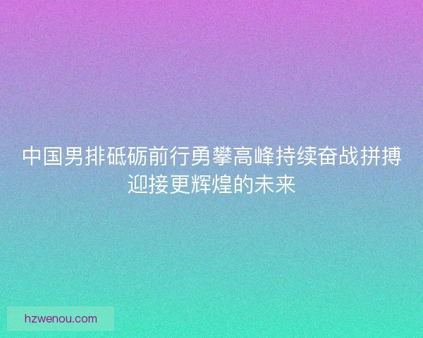 中国男排砥砺前行勇攀高峰持续奋战拼搏迎接更辉煌的未来